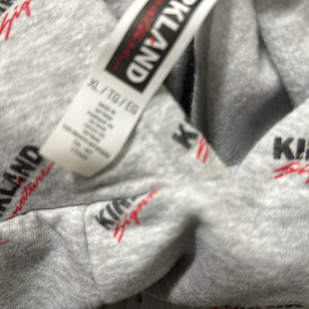 Hoodie for pup